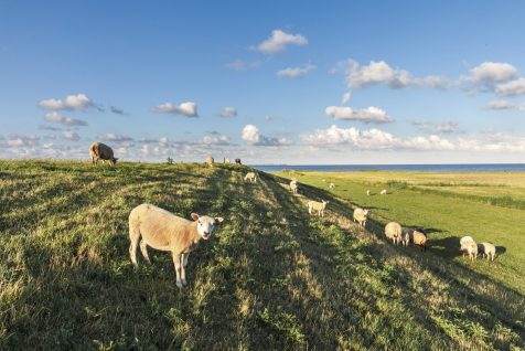 De-Dijken-Fotografie-Loek-Buter-2-scaled